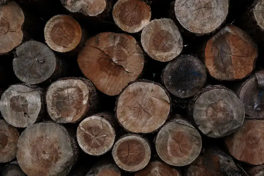 Stacks of pale birch and warm oak lumber